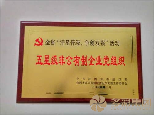 陕西多彩集团党委被授予2015年度全省“五星级非公有制企业党组织”